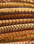 Cock Pheasant Centre Tails, Australia, NZ