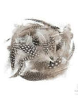 Guinea Body Feathers - Wapsi Australia