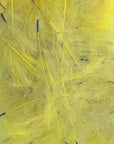 Petitjean CDC Feathers 1 Gram