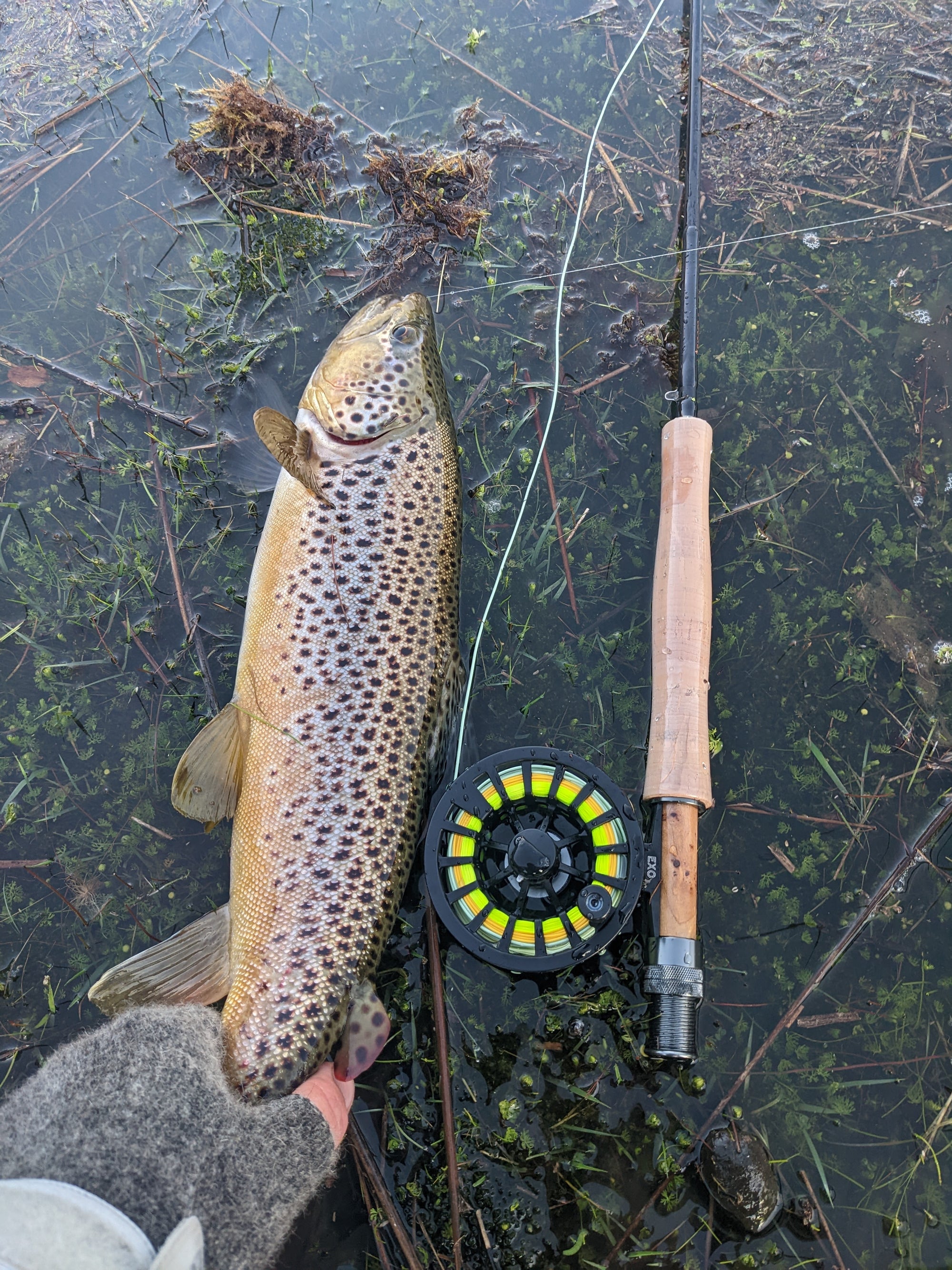 Get Out Fly Fishing