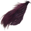 Metz  Premium Neck Hackle