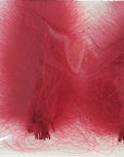 CDC Premium feathers 50 pack Australia New Zealand Fly tying
