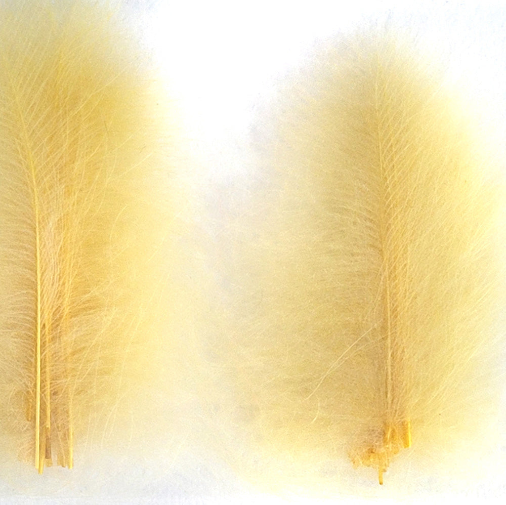 CDC Premium feathers 50 pack Australia New Zealand Fly tying