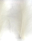 CDC Premium feathers 50 pack Australia New Zealand Fly tying