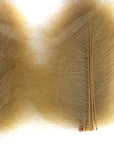 CDC Premium feathers 50 pack Australia New Zealand Fly tying