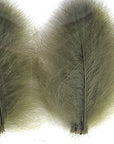 CDC Premium feathers 50 pack Australia New Zealand Fly tying