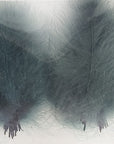 CDC Premium feathers 50 pack Australia New Zealand Fly tying