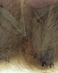 CDC Premium feathers 50 pack Australia New Zealand Fly tying