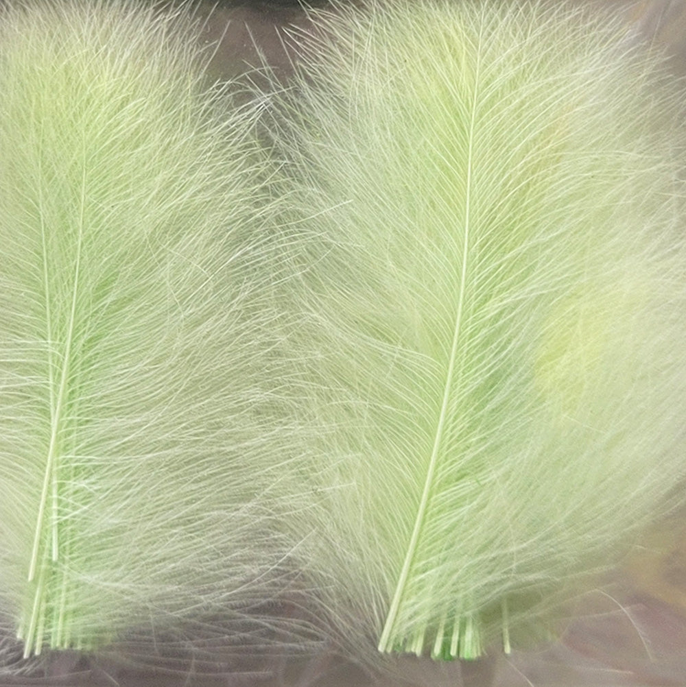 CDC Premium feathers 50 pack Australia New Zealand Fly tying