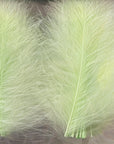 CDC Premium feathers 50 pack Australia New Zealand Fly tying