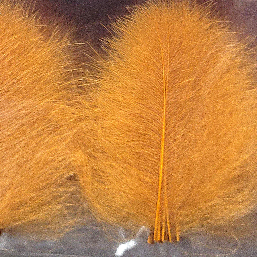 CDC Premium feathers 50 pack Australia New Zealand Fly tying