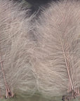 CDC Premium feathers 50 pack Australia New Zealand Fly tying