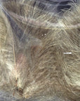 CDC Premium feathers 50 pack Australia New Zealand Fly tying