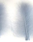 CDC Premium feathers 50 pack Australia New Zealand Fly tying