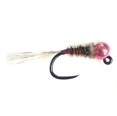 Euro/Jig Nymph's X 6