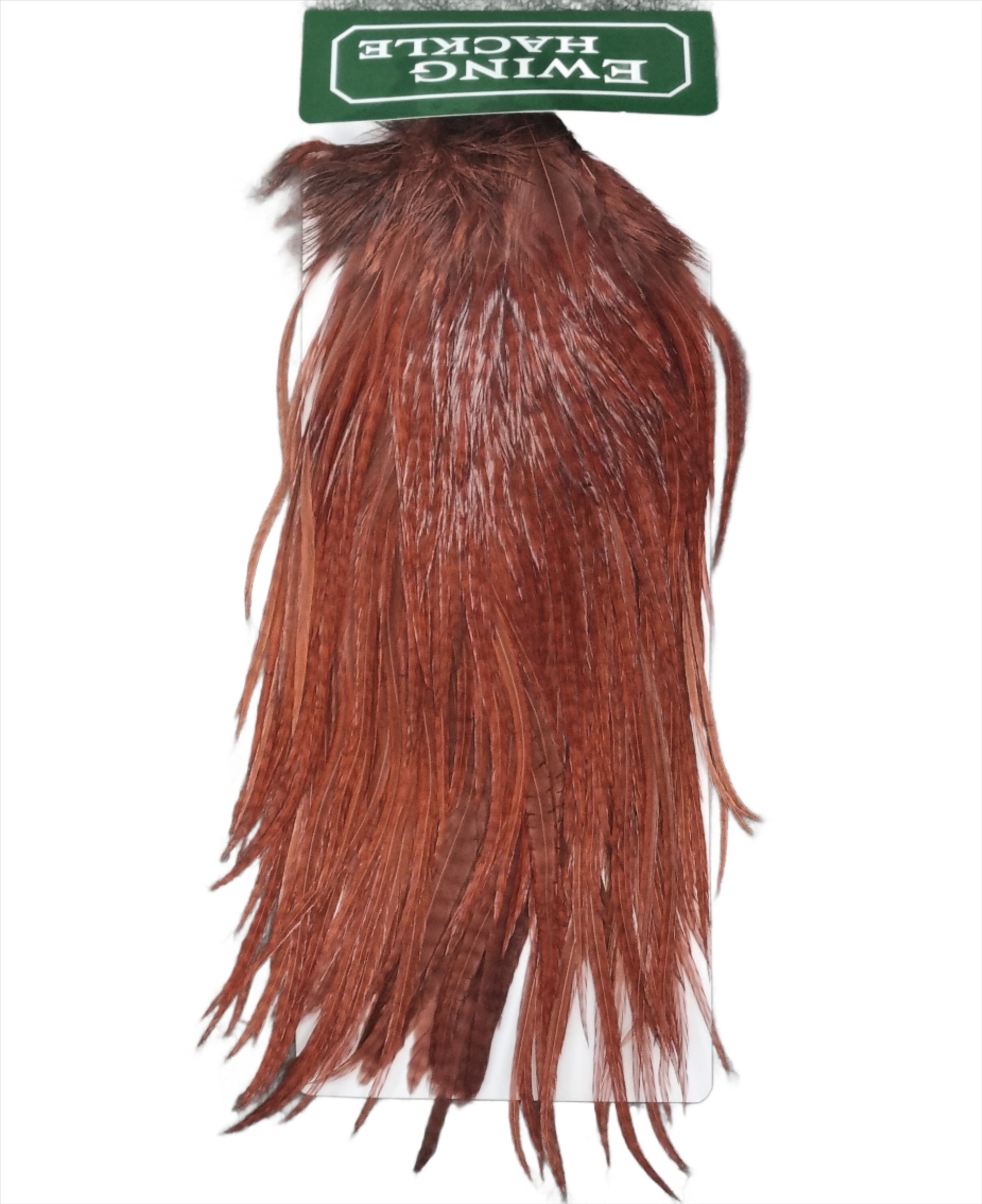 Ewing Saddle Hackle Brown Australia NZ