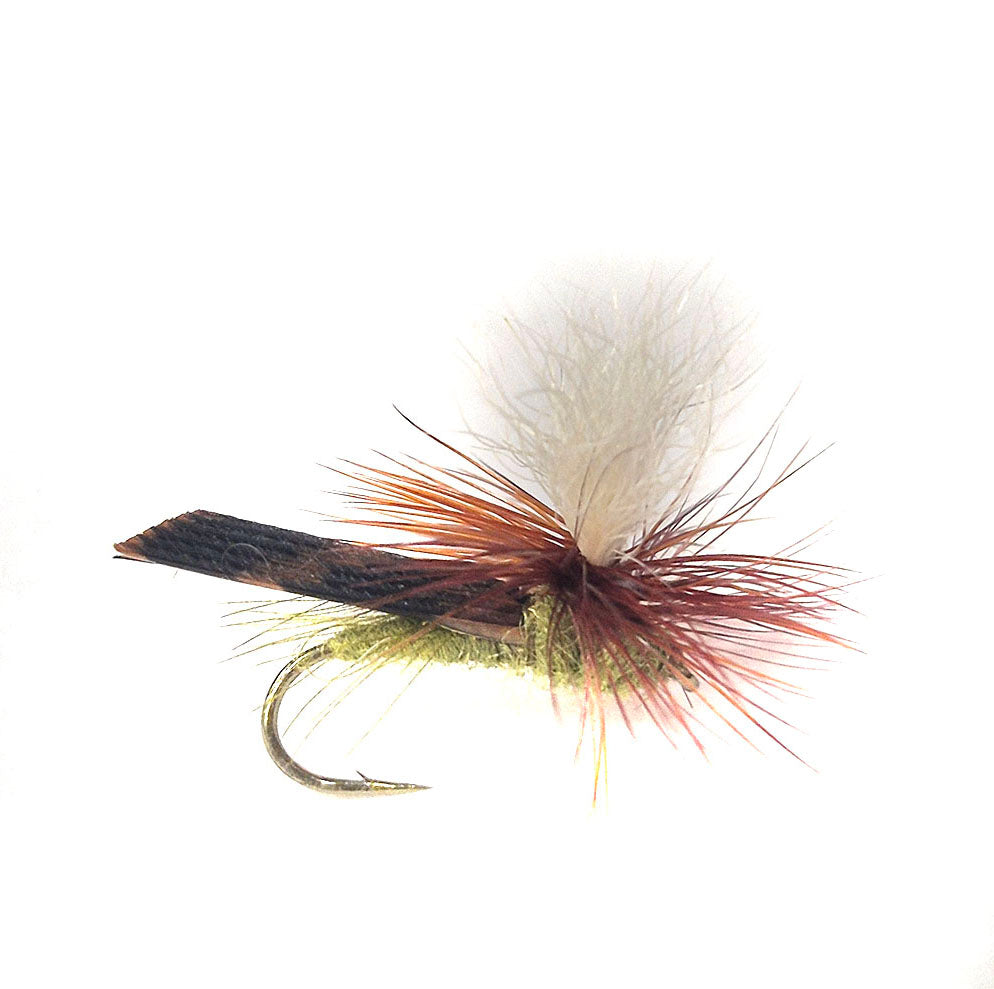 Olive Partachute Caddis Fly Australia