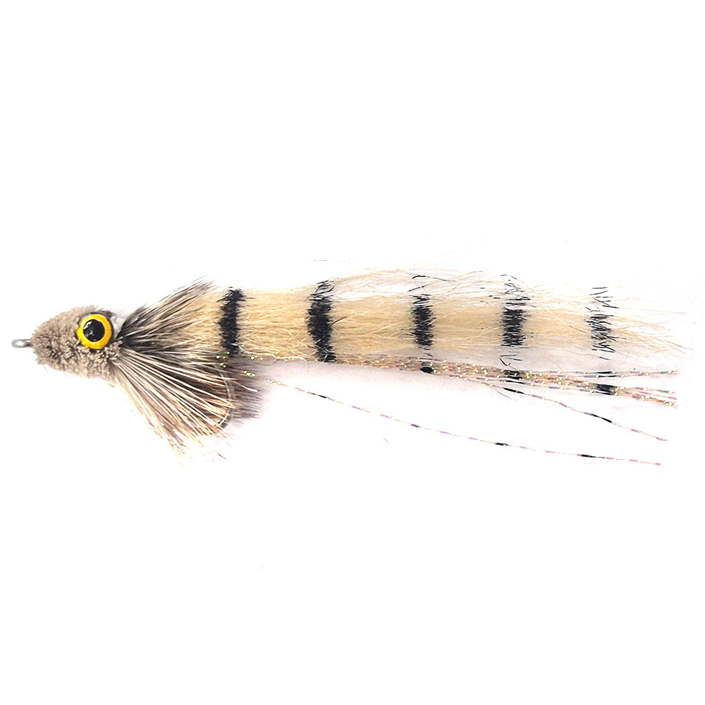 Bone Fish  Slider 9604