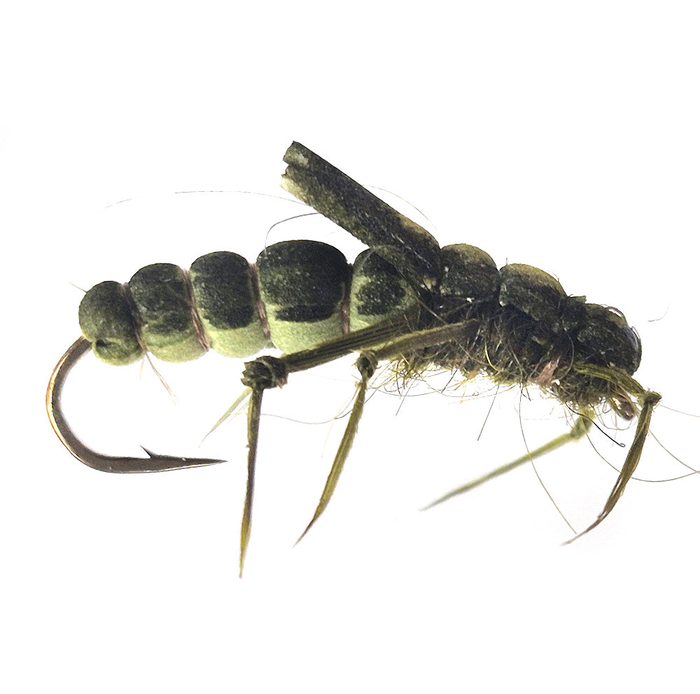 Olive Foam Mudeye Australia Tasmania 
