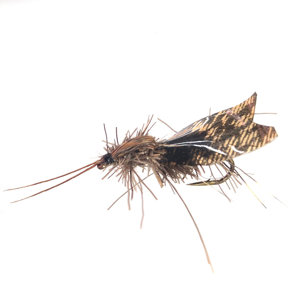 Hairy Caddis