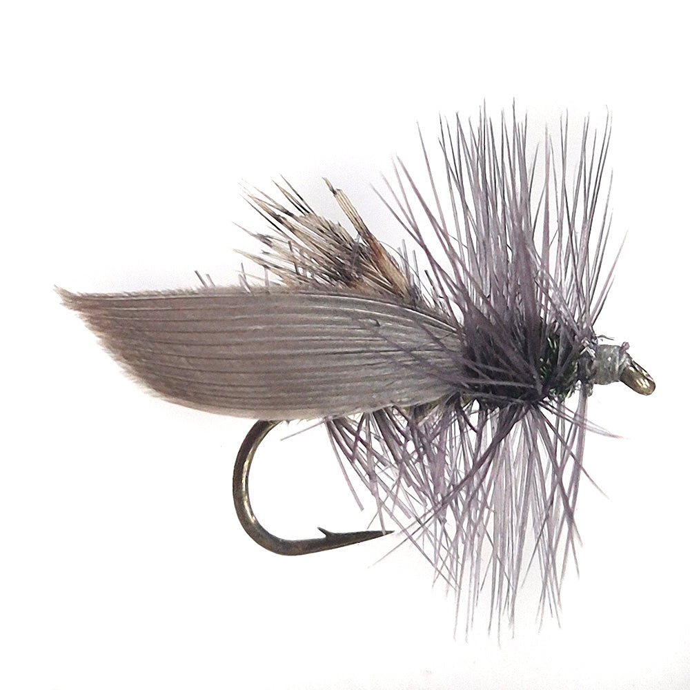 Hemingway Caddis Special x 6