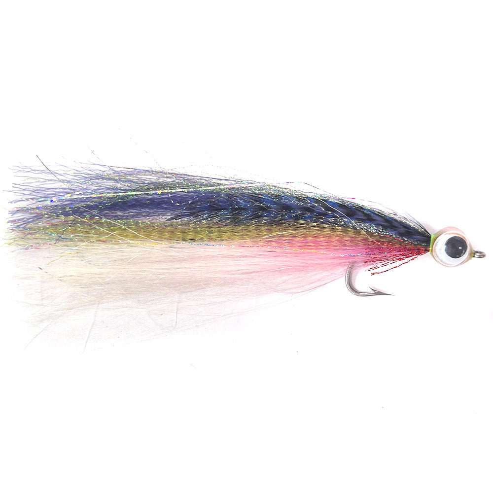 Flashy Abels Anchovy Australia