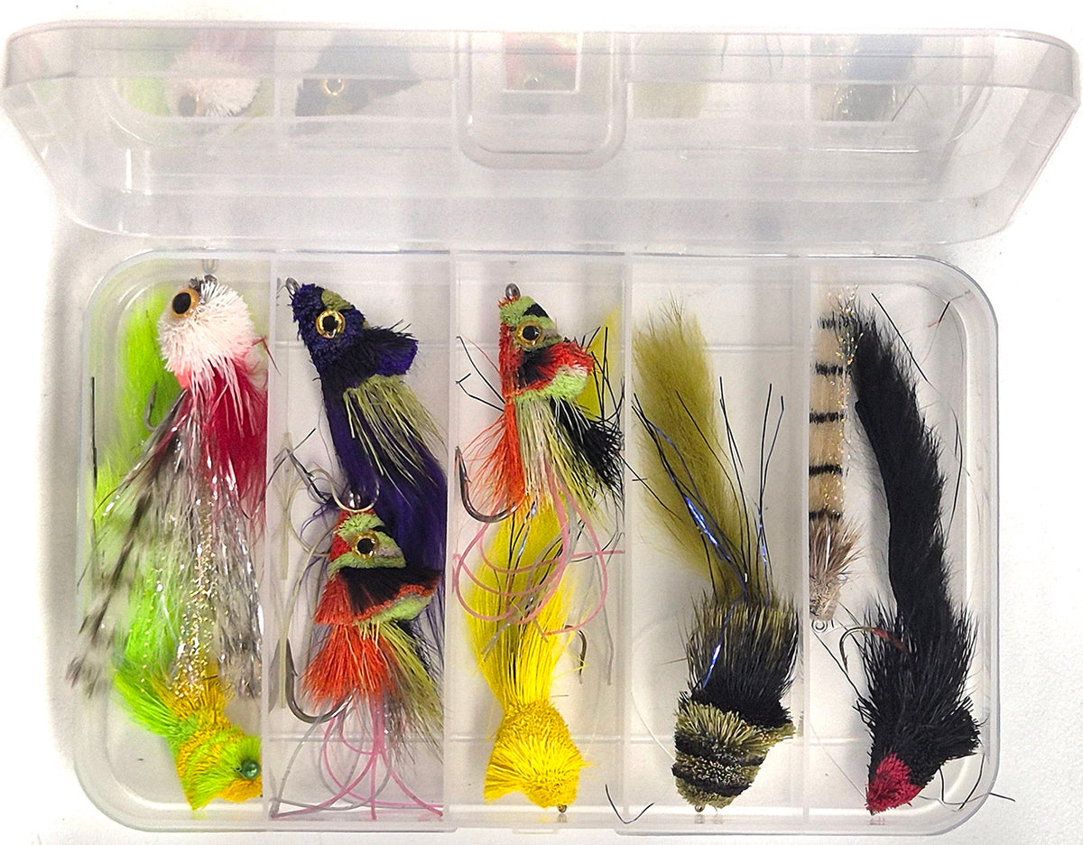 Bass, Cod, Saratoga, Barramundi Dahlerg Diver Australia