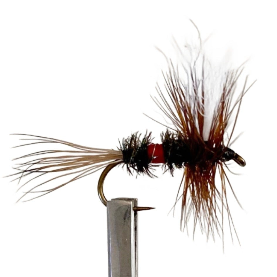 Fly Fishing Dry FLy Best Pattern Australia New Zealand Royal Wulff NZ 