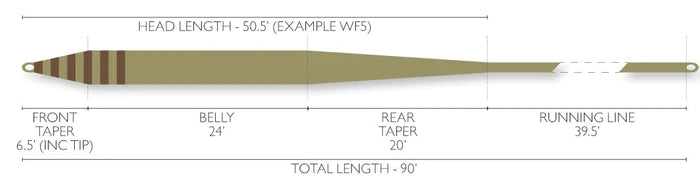 Airflo Superflo Bandit Taper Australia NZ