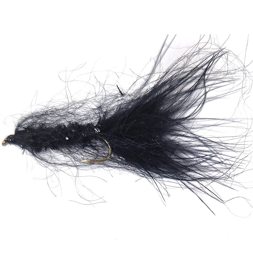 Fuzzle bugger Black, Tasmania, Australia