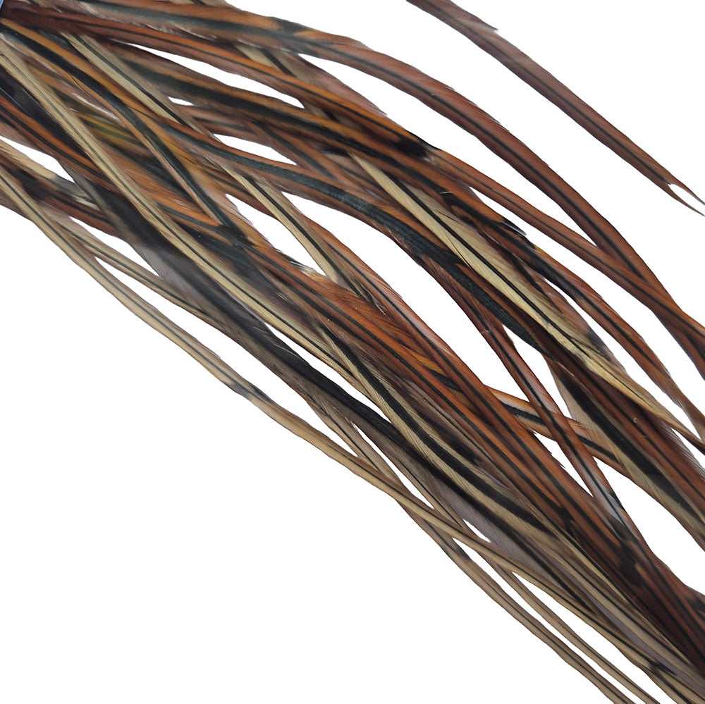 Whiting Spencer Metz Saddle feathers Grizzly Australia Brown