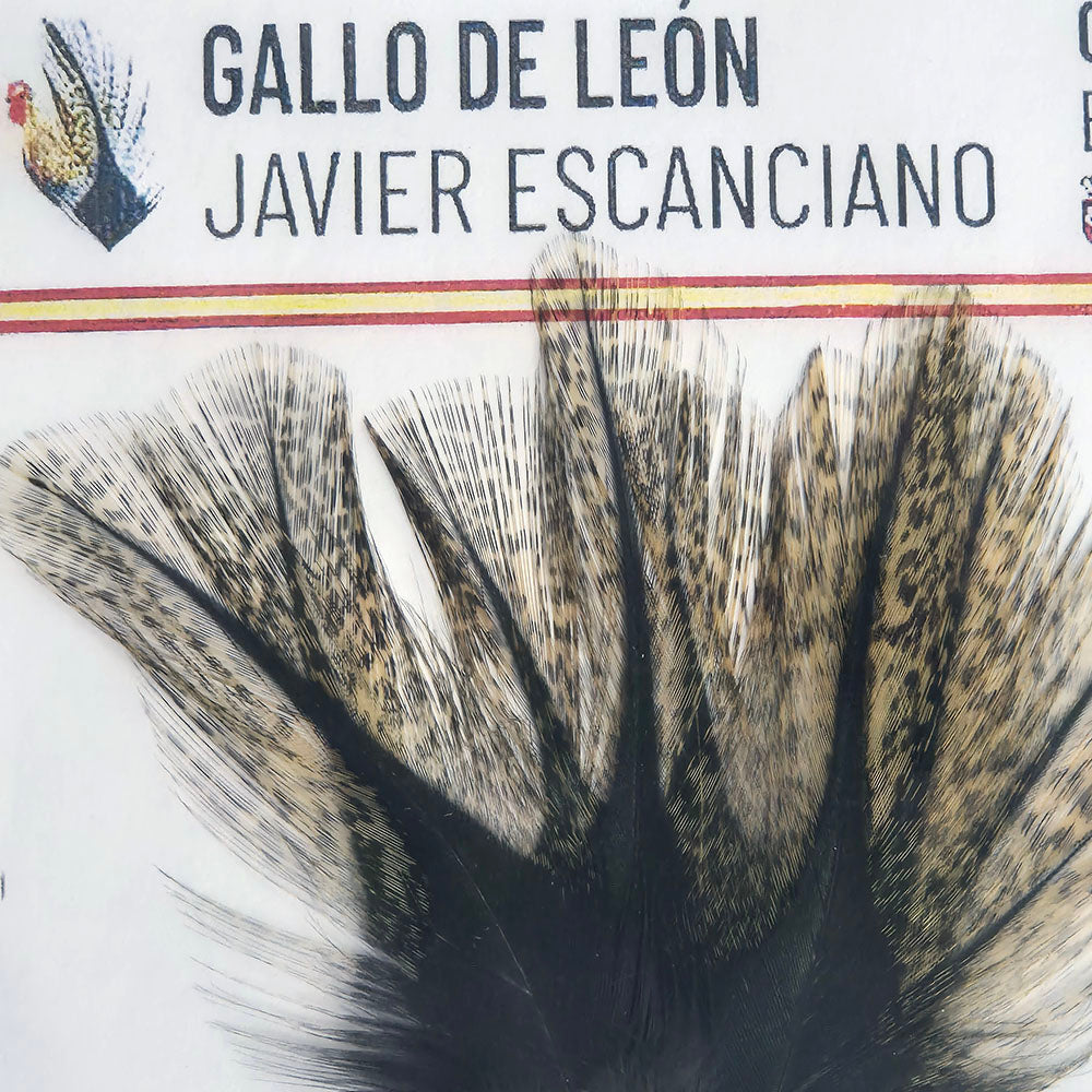 Coq De Leon CDL