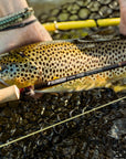 Sage R8 Classic Fly Rod, Fly Fishing Australia, New Zealand 