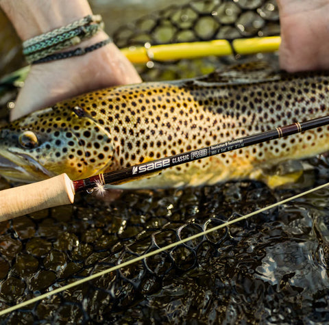 Sage R8 Classic Fly Rod, Fly Fishing Australia, New Zealand 