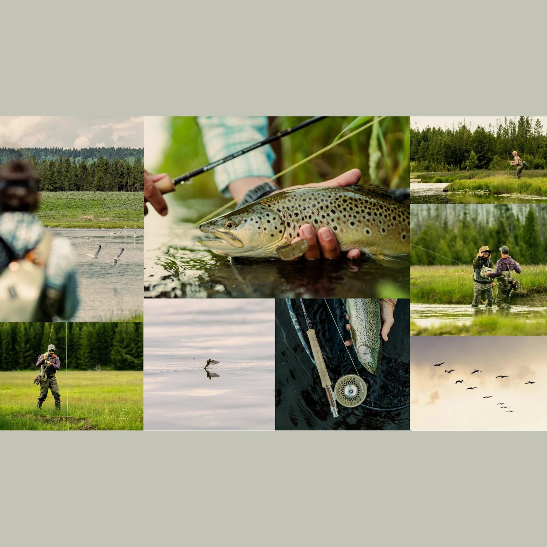 Sage R8 Classic Fly Rod, Fly Fishing Australia, New Zealand 