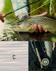 Sage R8 Classic Fly Rod, Fly Fishing Australia, New Zealand 