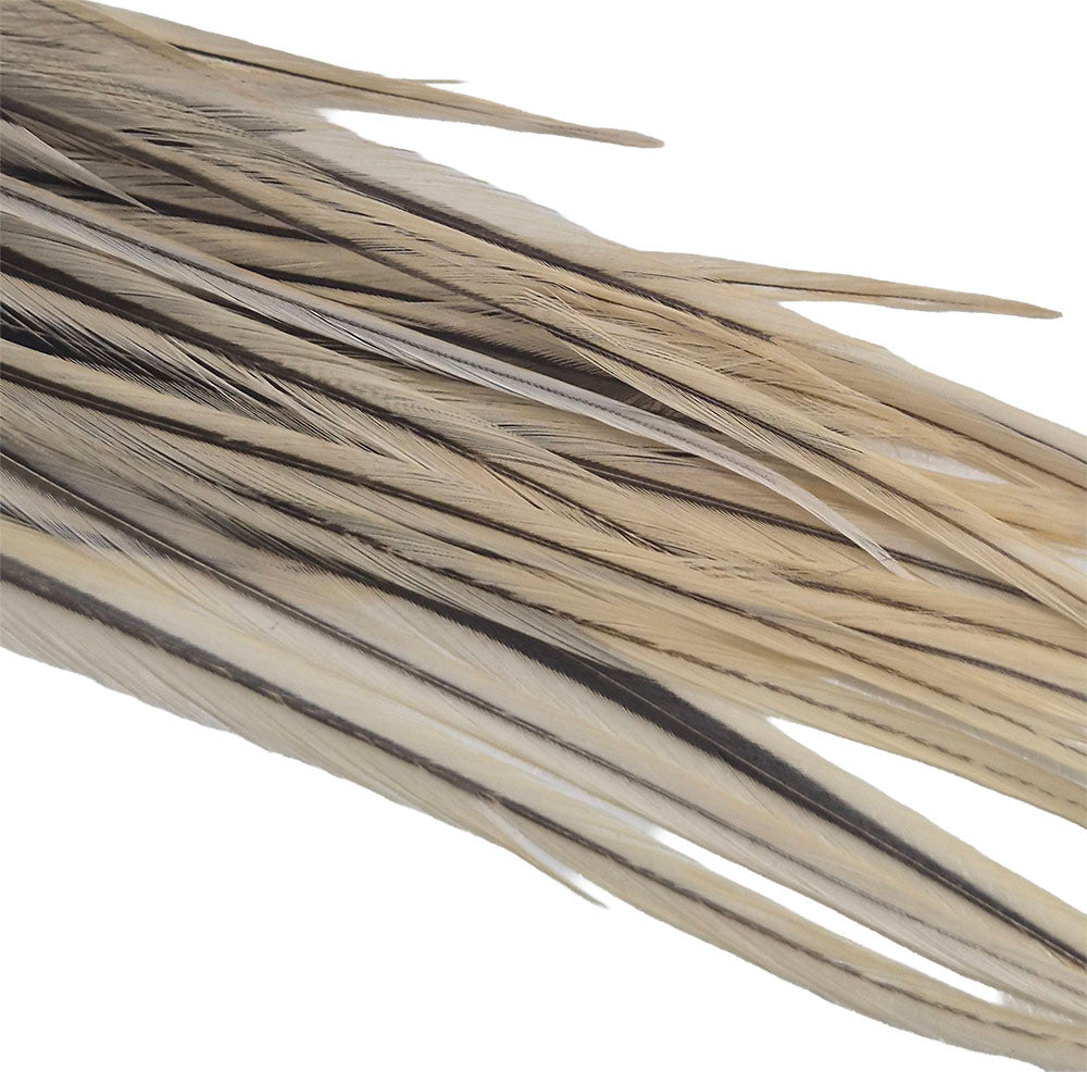 Whiting Spencer Metz Saddle feathers Grizzly Australia Dirty Blond