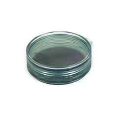 Fly Puck - FISHPOND