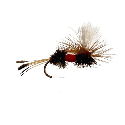 Fly Fishing Dry Fly Best Australia Parachute Royal Coachman Australia Tasmania New Zealand
