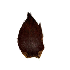 Hackle Varieties Coachman Brown Australia, NZ