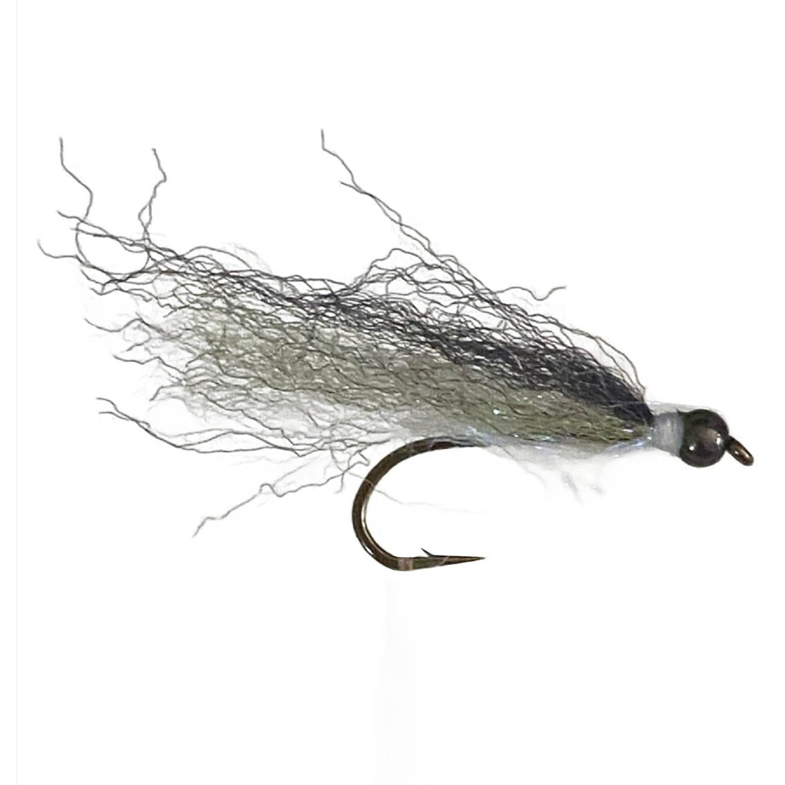 Laser Lazer Minnow smelt Tasmania Australia