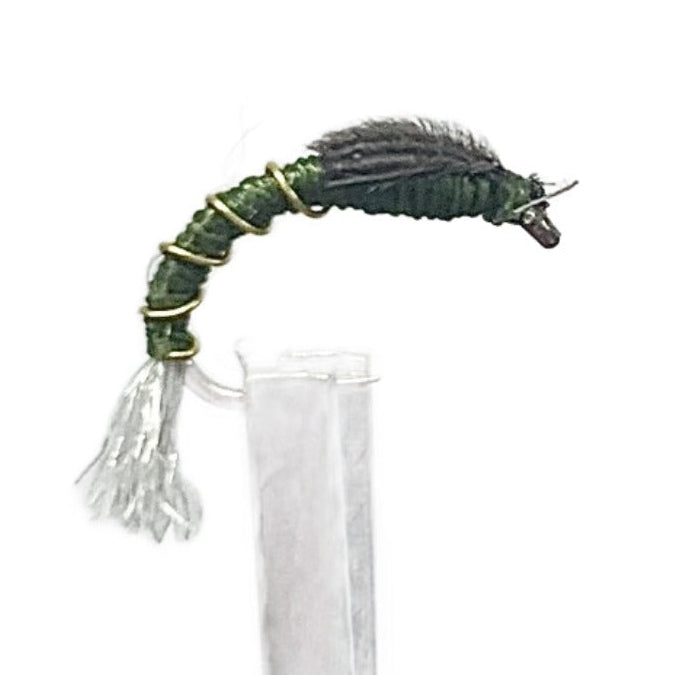 Pisces Fishing Tackle Fly Fishing Dry Fly Best Australia New Zealand Tasmania Victoria New South Wales epoxy Buzzer Olive