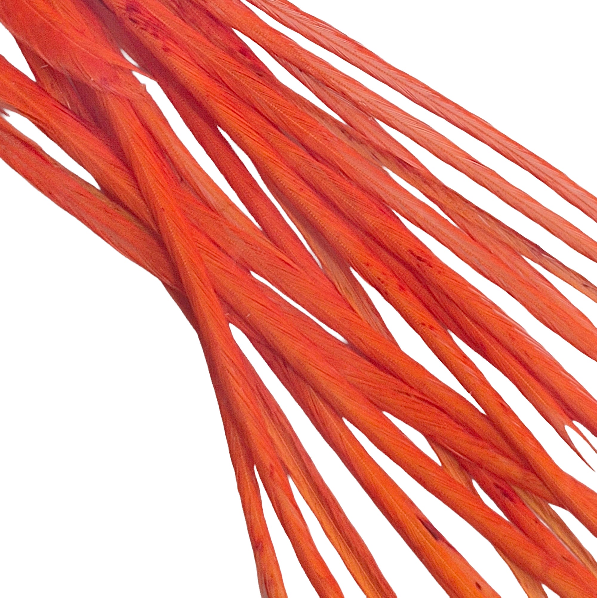 Whiting Spencer Metz Saddle feathers Grizzly Australia Orange