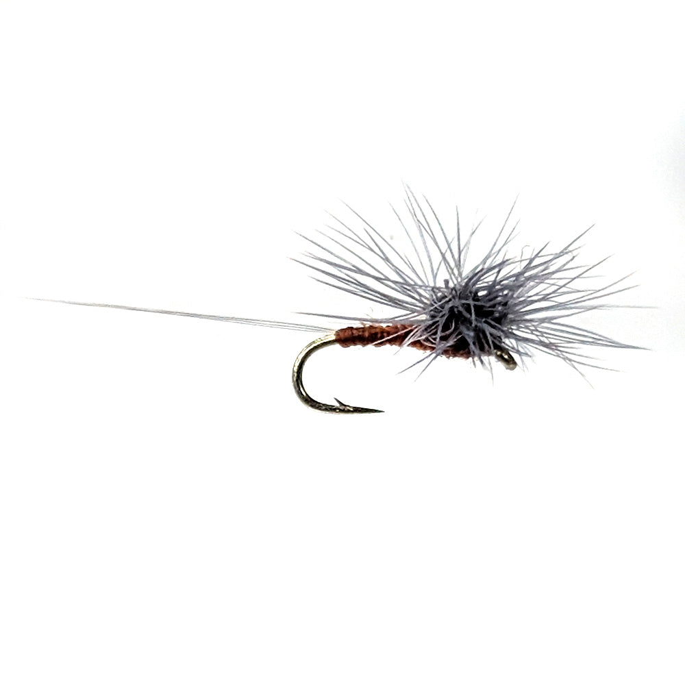 Rusty Spinner dry fly Tasmania 