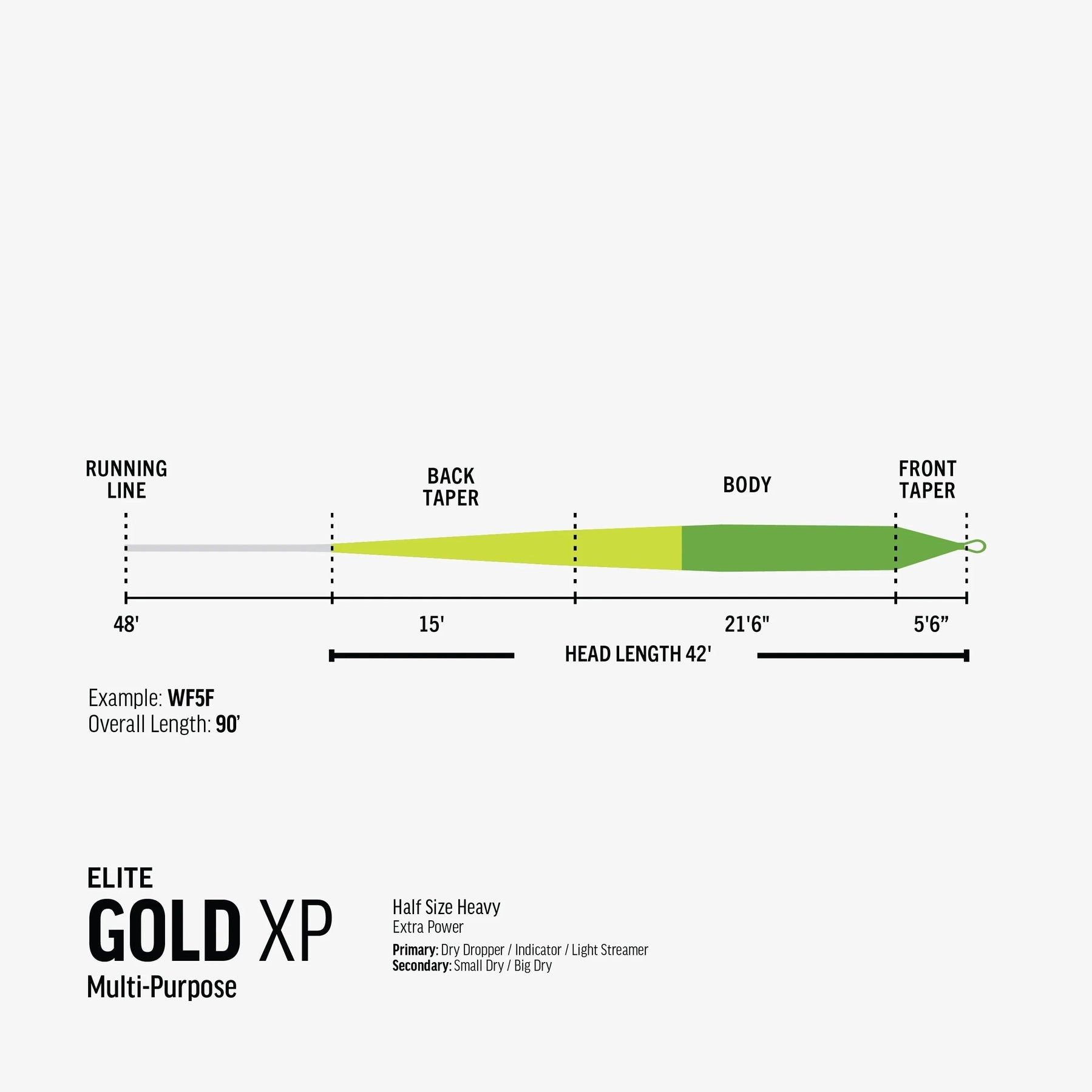 Rio Gold XP (Extra Power) Fly Line, Fly Fishing Australia, New Zealand. 