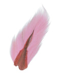 Bucktail- Veniard Large