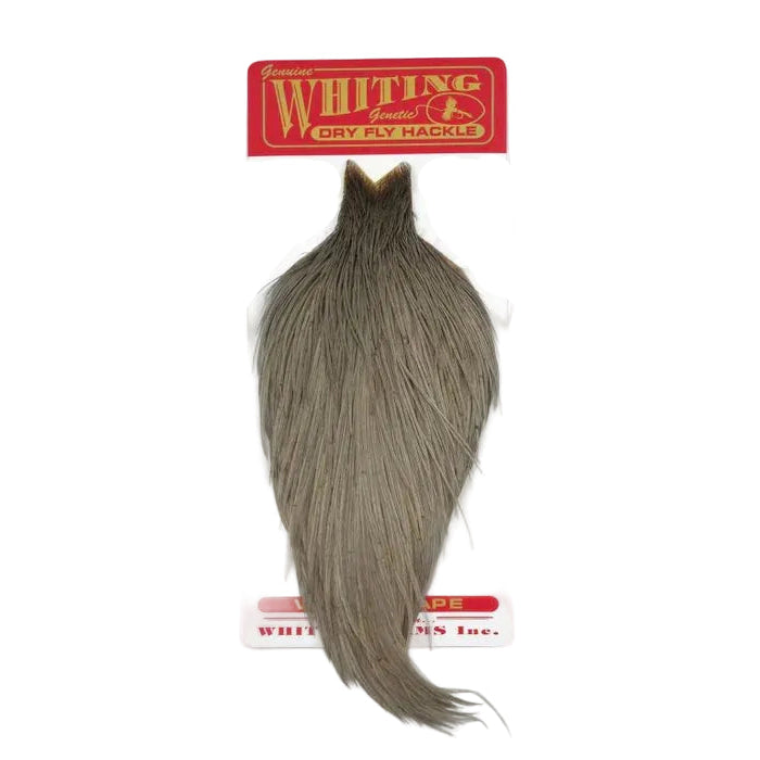 Whiting Dry Fly Cape Bronze Grade Medium Dun, NZ, Australia