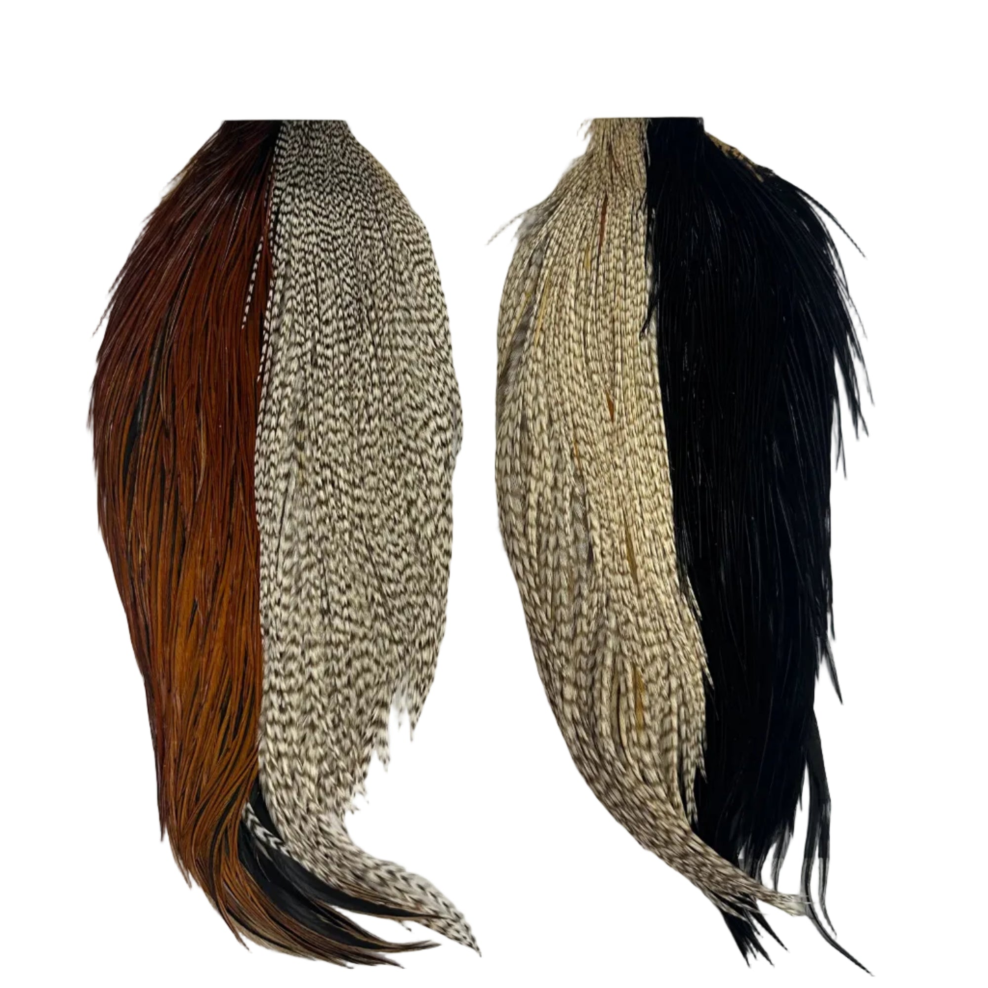 Whiting Introductory Combo Pack 