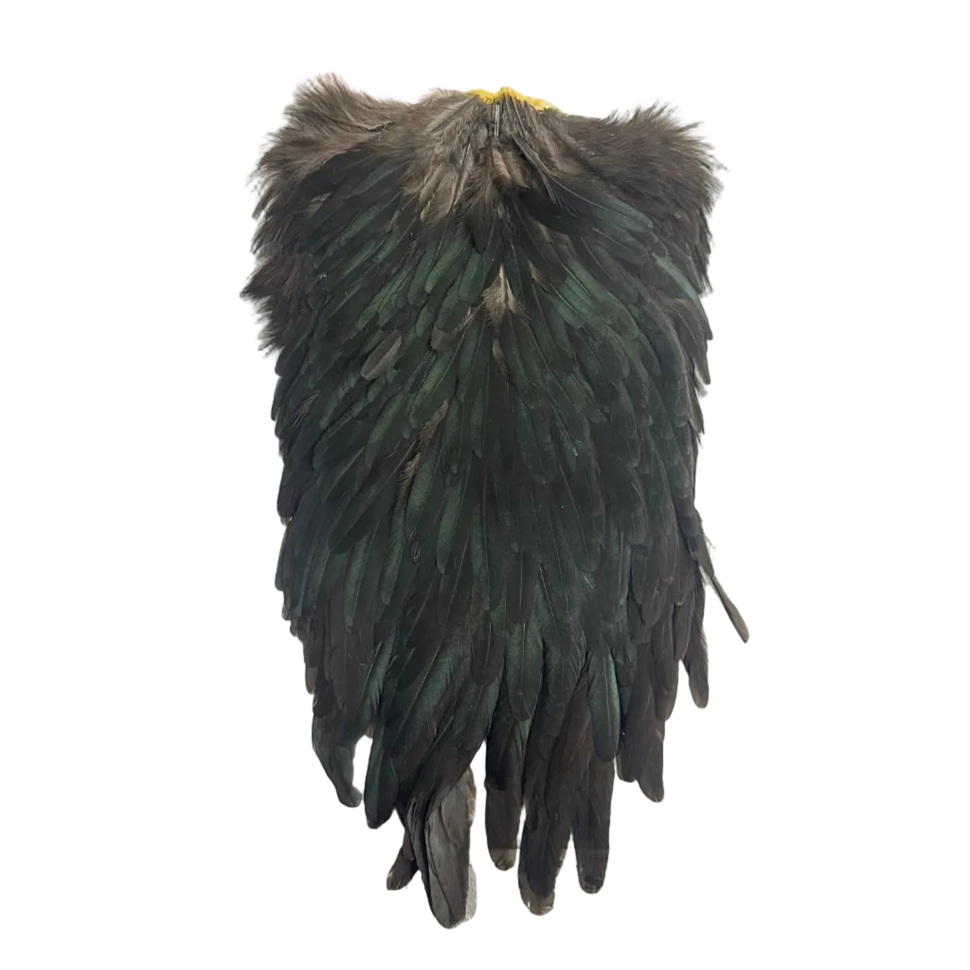 Whiting Hebert Miner Hen Saddle Black, Australia, NZ