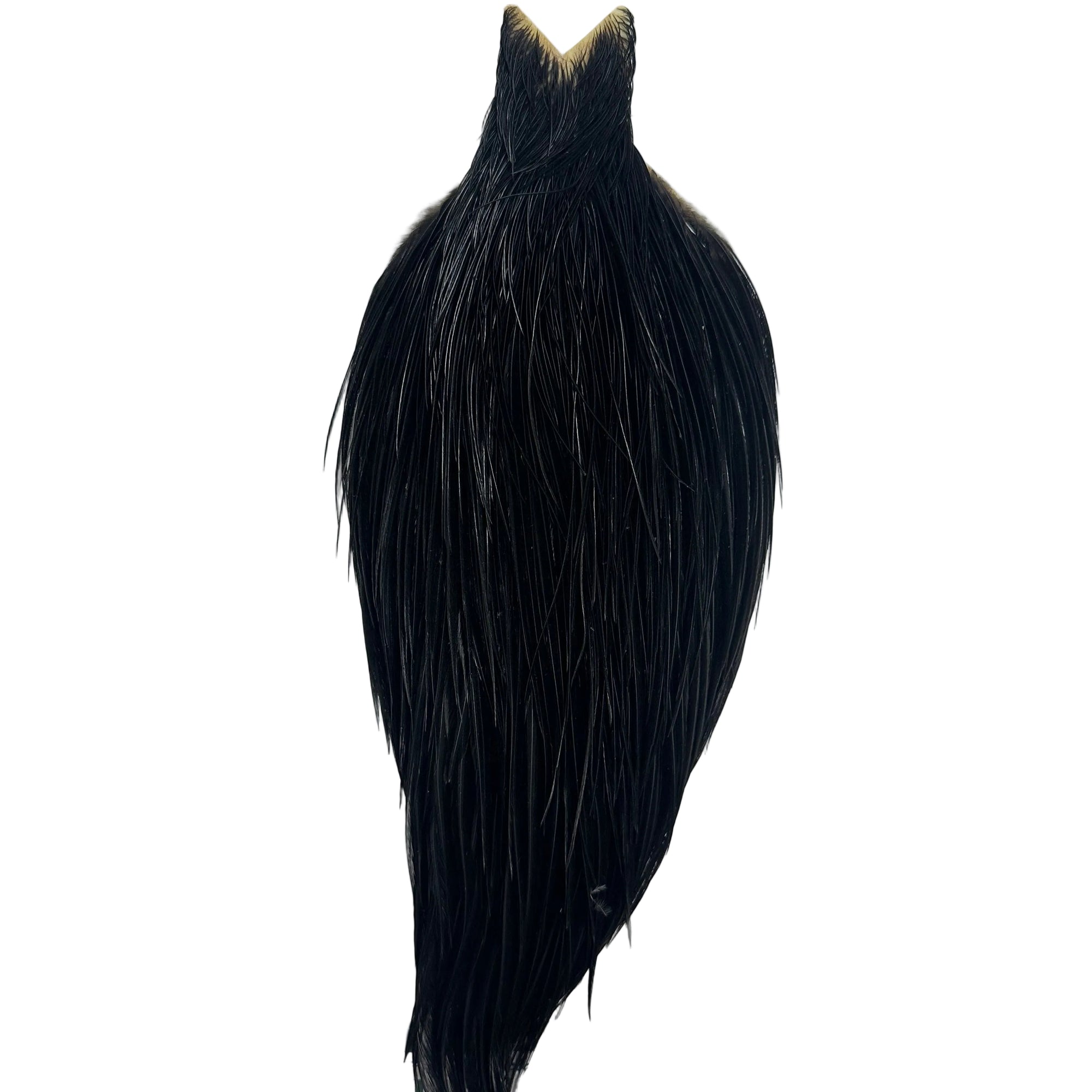 Whiting Hebert Miner Dry Fly Cape - Bronze Grade, Black, NZ, Australia